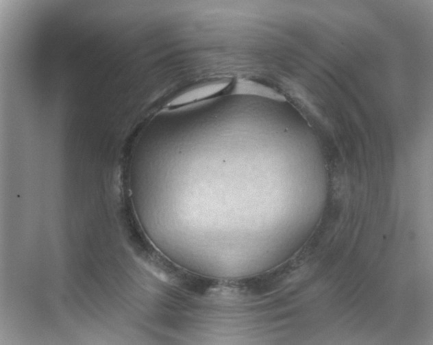 X0000068740211200605121552