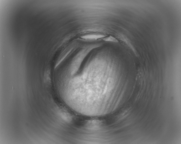 X0000068740212200605121552