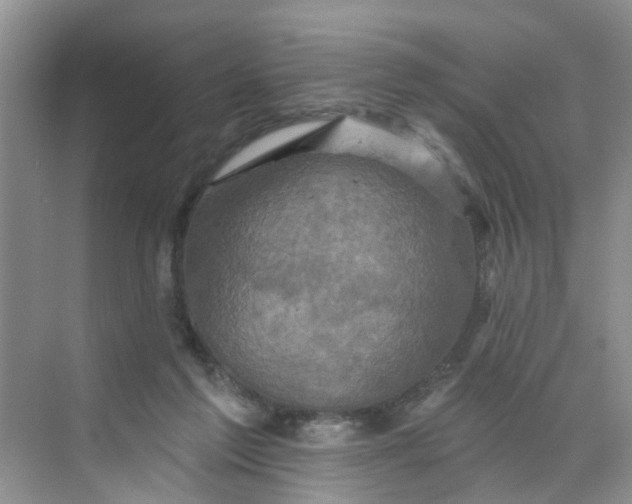 X0000068740213200605121552