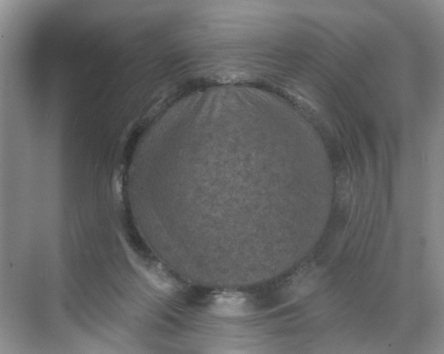 X0000068740214200605121552