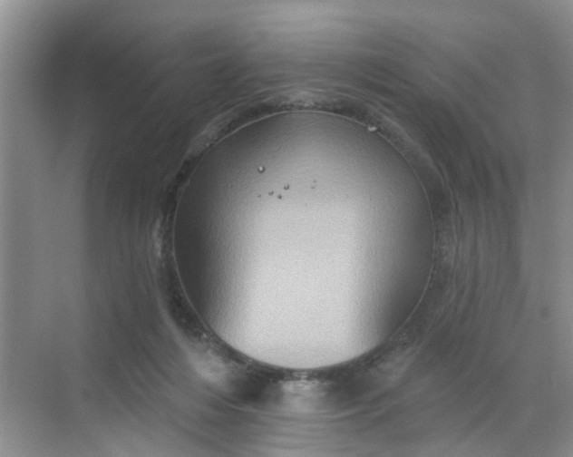 X0000068740216200605121552