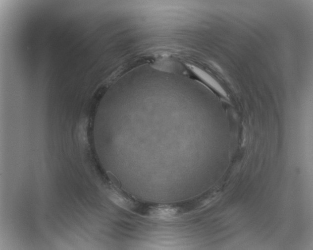 X0000068740217200605121552