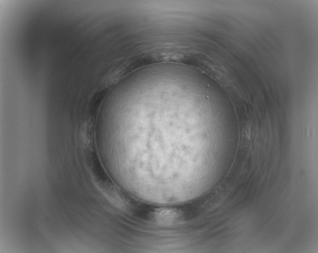 X0000068740218200605121552