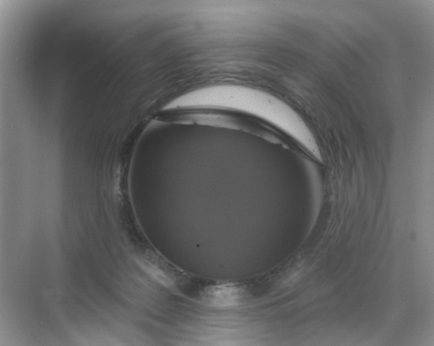 X0000068740219200605121552