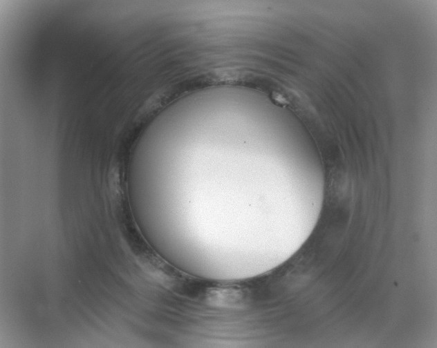 X0000068740220200605121552