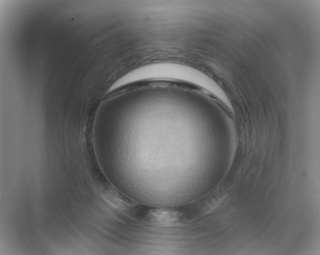 X0000068740221200605121552