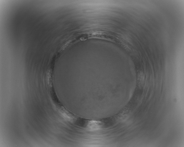 X0000068740222200605121552