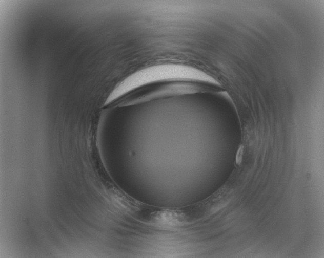 X0000068740223200605121552