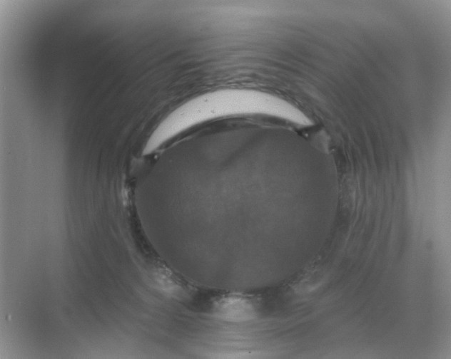 X0000068740224200605121552