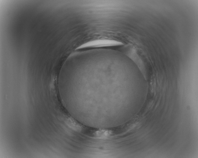 X0000068740225200605121552