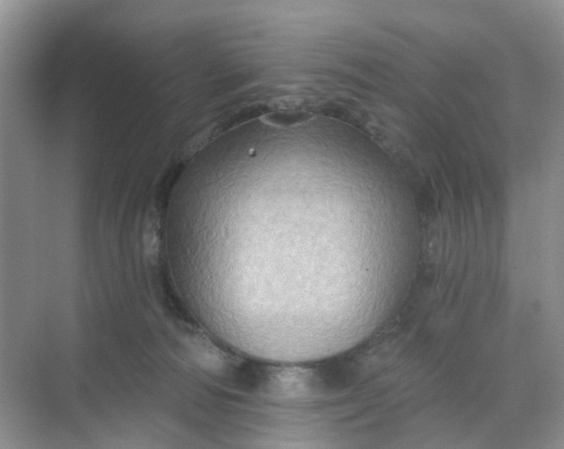 X0000068740226200605121552