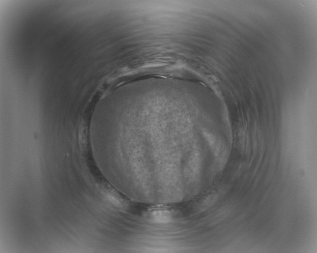 X0000068740228200605121552