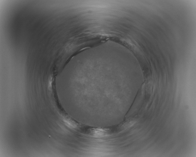 X0000068740229200605121552