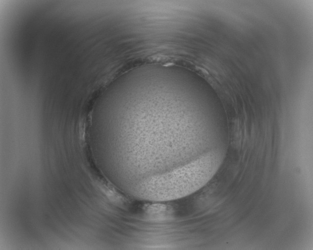 X0000068740230200605121552