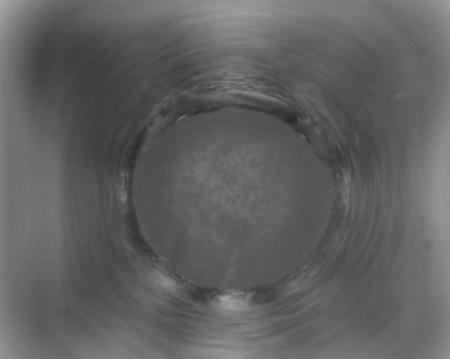 X0000068740232200605121552