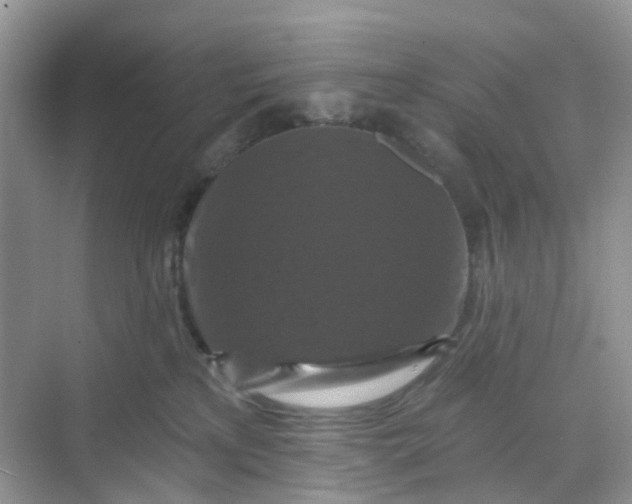 X0000068740233200605121552