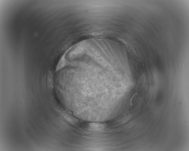 X0000068740234200605121552