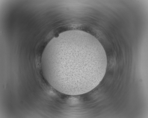 X0000068740236200605121552