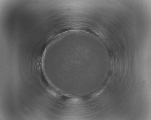 X0000068740237200605121552