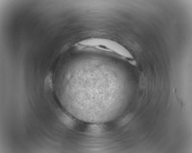 X0000068740238200605121552