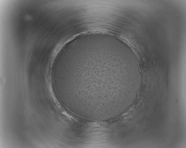 X0000068740241200605121551