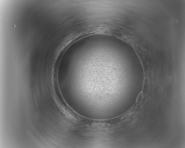 X0000068740242200605121551