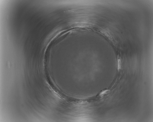 X0000068740243200605121551