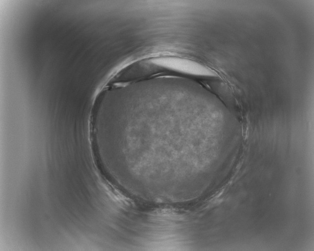 X0000068740244200605121551