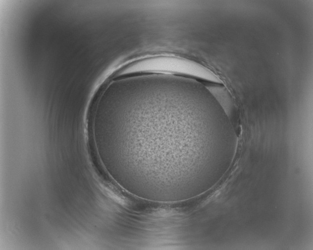 X0000068740246200605121551