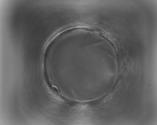 X0000068740247200605121551