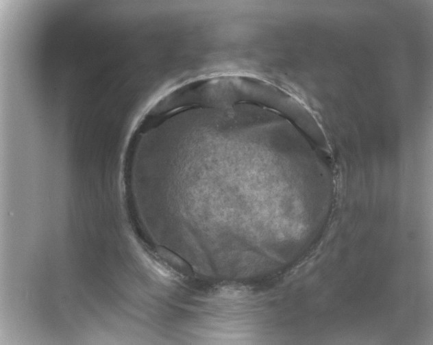 X0000068740248200605121551