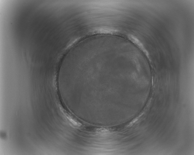 X0000068740249200605121551