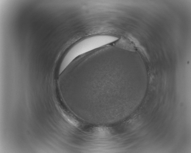 X0000068740250200605121551