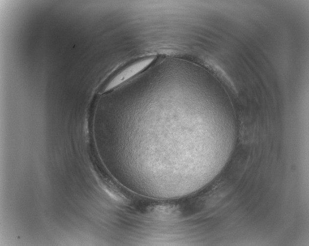 X0000068740251200605121551