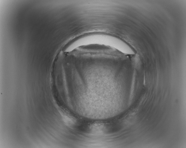 X0000068740252200605121551