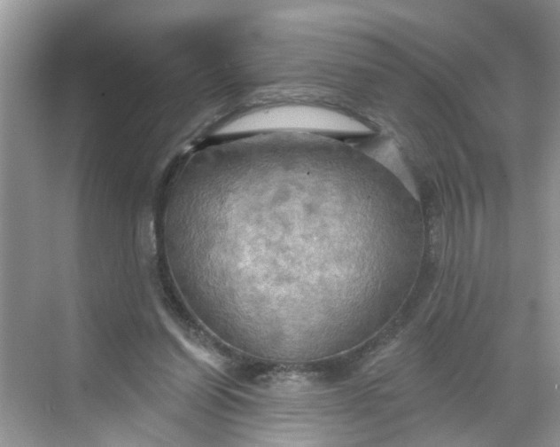 X0000068740254200605121551