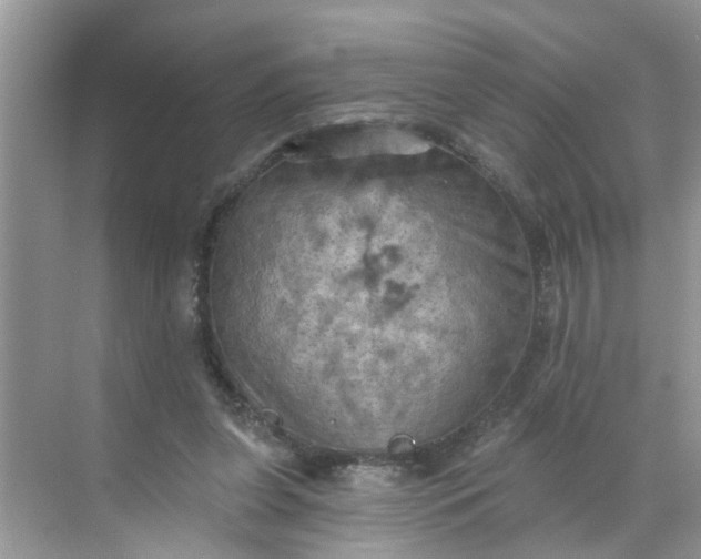 X0000068740255200605121551