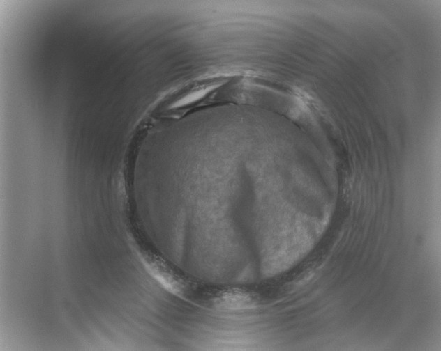 X0000068740256200605121551