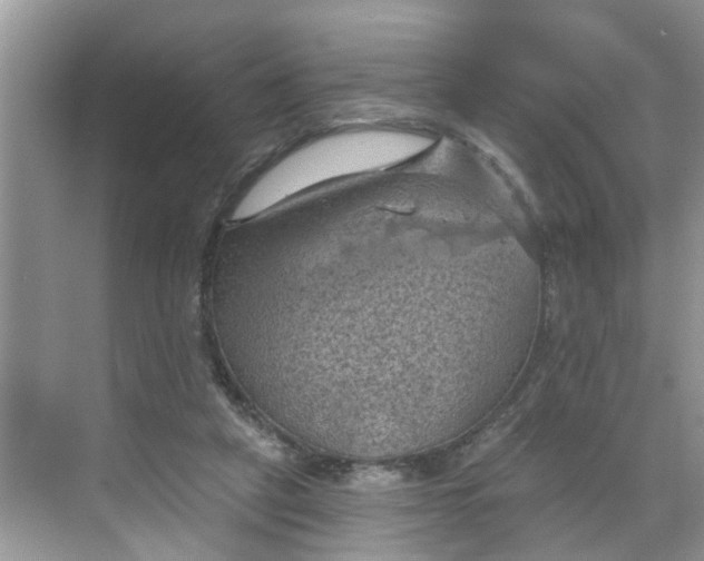 X0000068740257200605121551