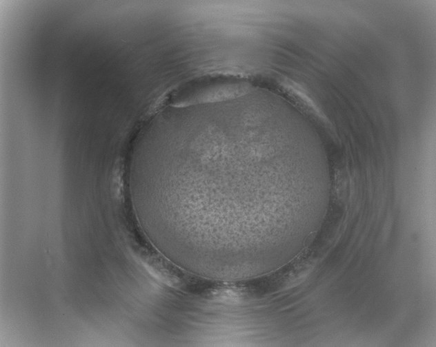 X0000068740259200605121551