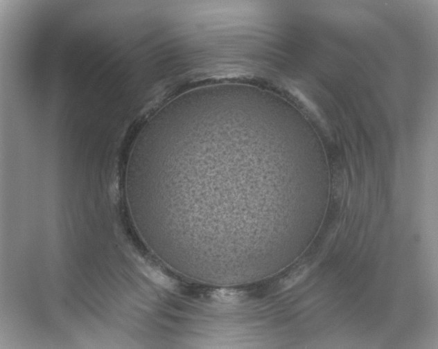 X0000068740261200605121551