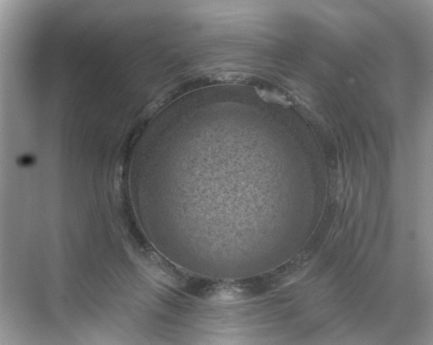 X0000068740263200605121551