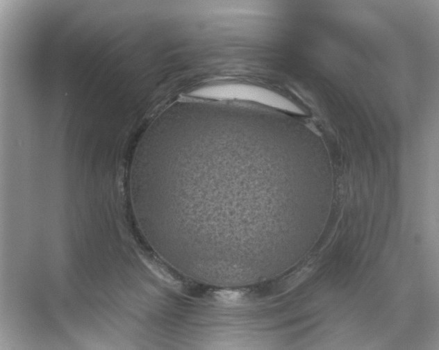 X0000068740265200605121551