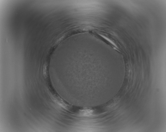 X0000068740266200605121551