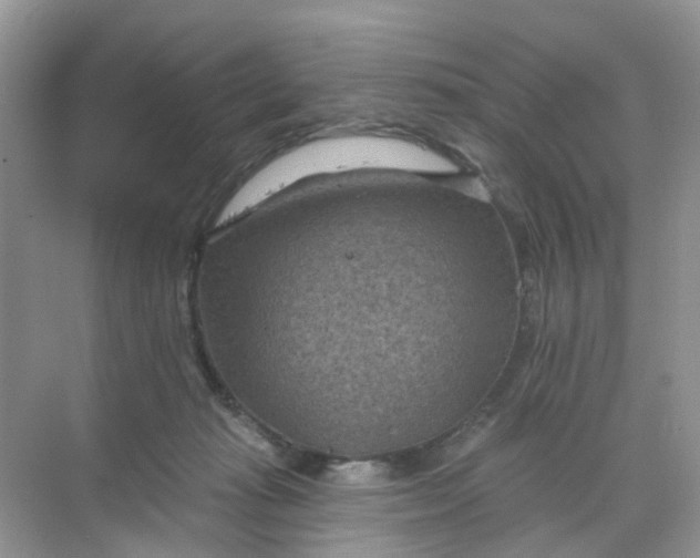 X0000068740269200605121551