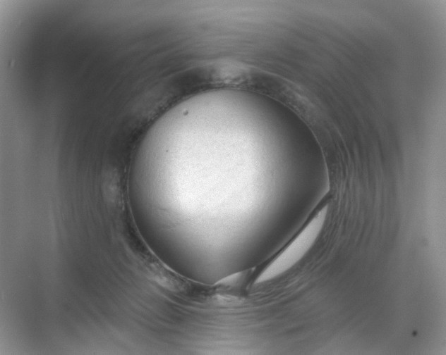 X0000068740270200605121551