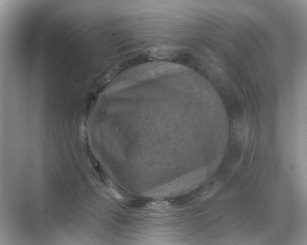 X0000068740271200605121551