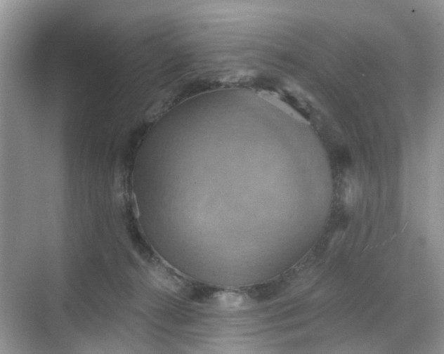 X0000068740272200605121551