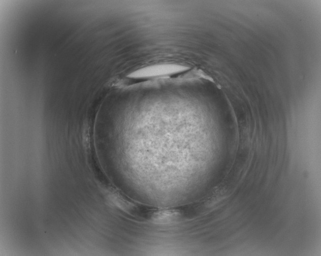 X0000068740274200605121551