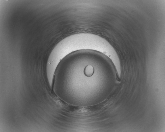 X0000068740276200605121552